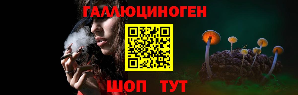 Псилоцибиновые грибы Psilocybe Кушва